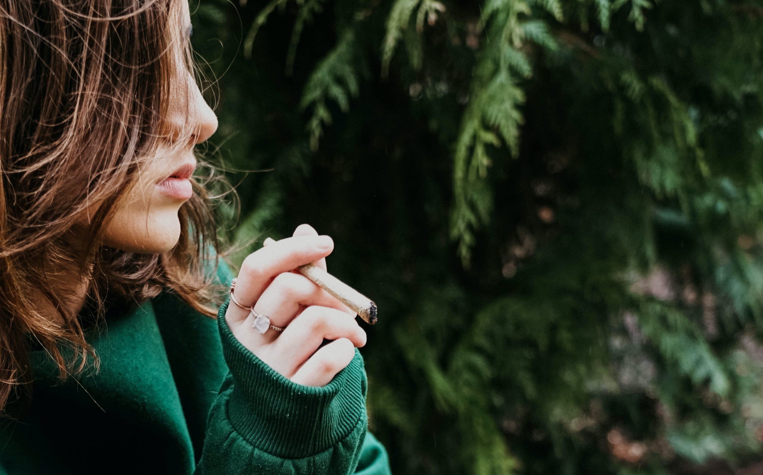 Stoppen met blowen No-Garette