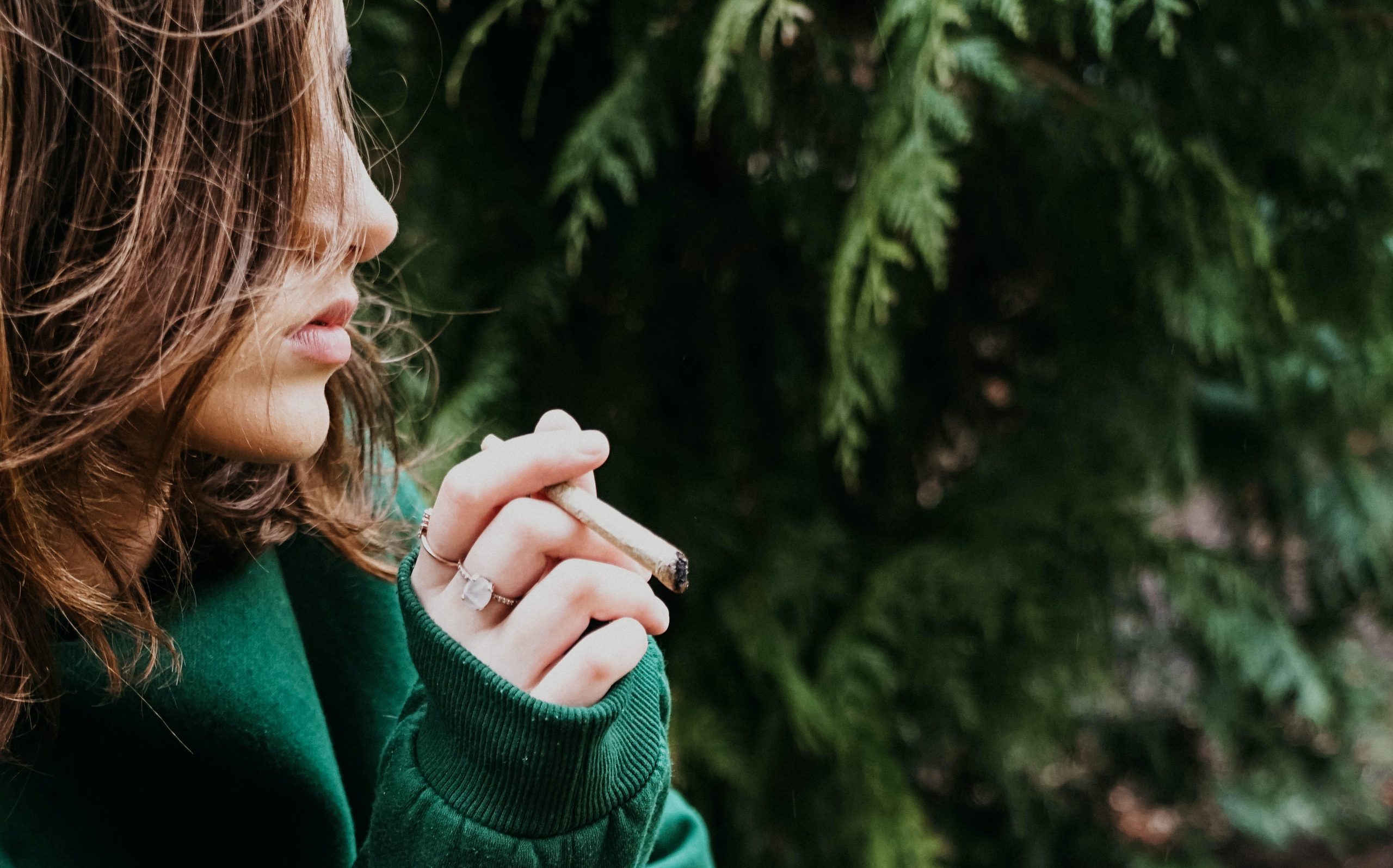 Stoppen met blowen No-Garette